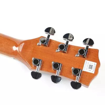 Oriental Semi-Acoustic Guitar EQ (W-300-40)