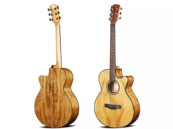 Oriental Semi-Acoustic Guitar EQ (W-300-40)