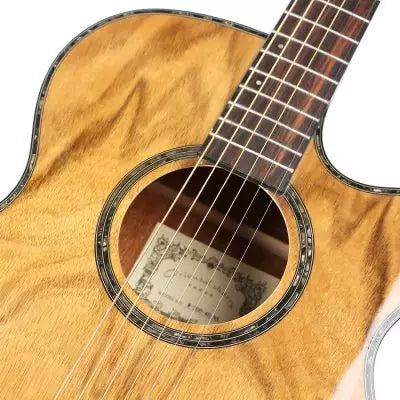 Oriental Semi-Acoustic Guitar EQ (W-300-40)