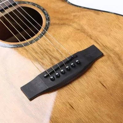 Oriental Semi-Acoustic Guitar EQ (W-300-40)
