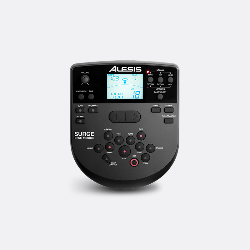 Alesis Surge Mesh Kit - Drum Kit