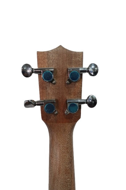 Dream Maker UK 23 EQ (combo)