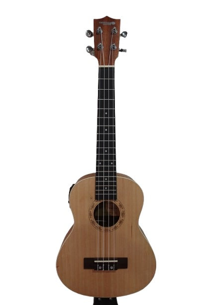 Dream Maker UK 23 EQ (combo)