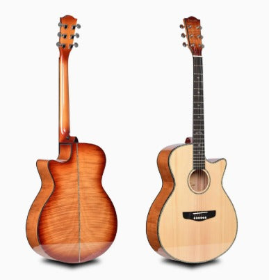 Deviser L-T4 Semi-Acoustic Guitar