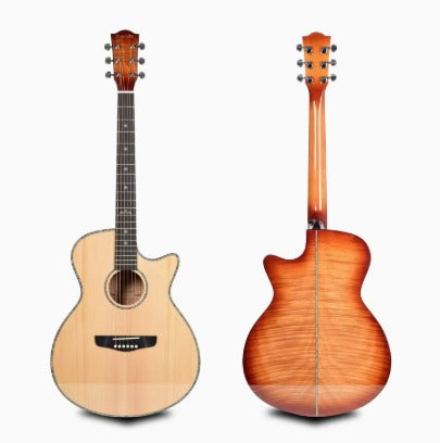 Deviser L-T4 Semi-Acoustic Guitar