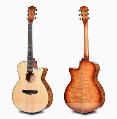 Deviser L-T4 Semi-Acoustic Guitar