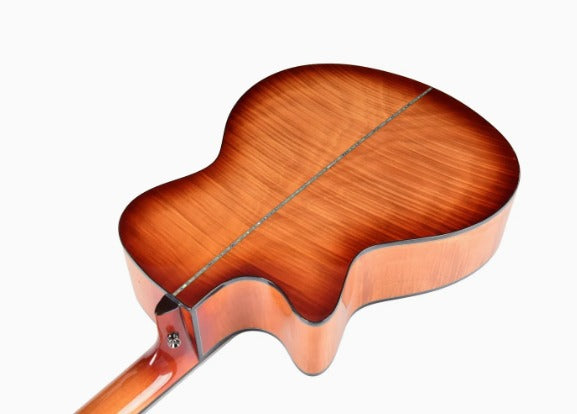 Deviser L-T4 Semi-Acoustic Guitar