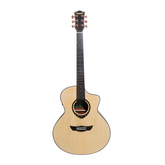 Dream Maker Semi Acoustic Guitar DM-606 CN